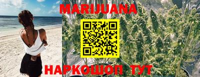 spice Камышлов