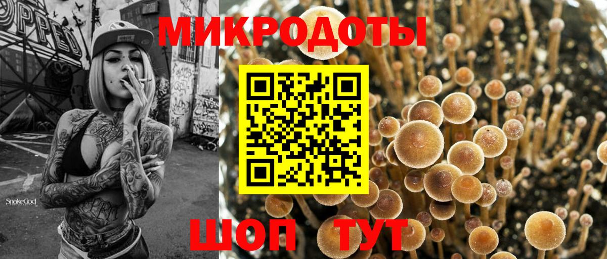 Псилоцибиновые грибы Cubensis Лабинск