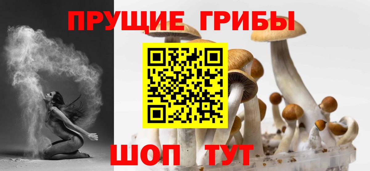 Псилоцибиновые грибы GOLDEN TEACHER  Вход с VPN  Галлюциногенные грибы GOLDEN TEACHER  Лабинск 